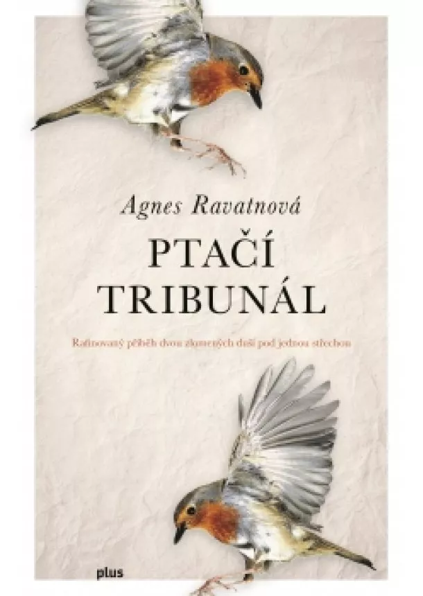 Agnes Ravatnová - Ptačí tribunál