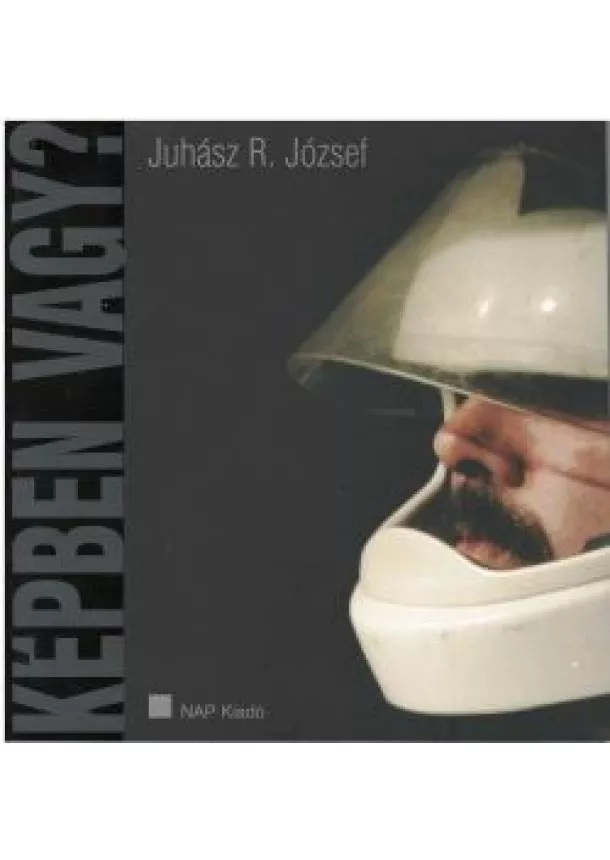 Juhász R. József - Képben vagy? 