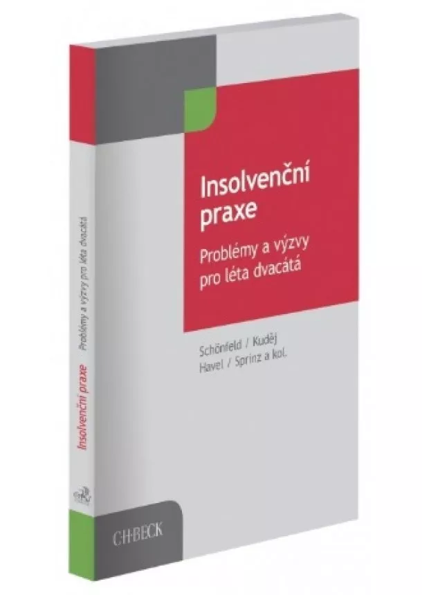 Jaroslav Schönfeld, Michal Kuděj, Petr Sprinz - Insolvenční praxe - Problémy a výzvy pro léta dvacátá