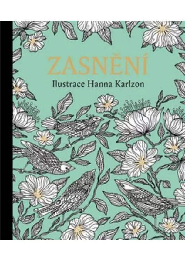 Hanna Karlzon - Zasnění - Antistresové omalovánky