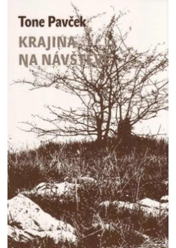 Tone Pavček - Krajina na návštěvě