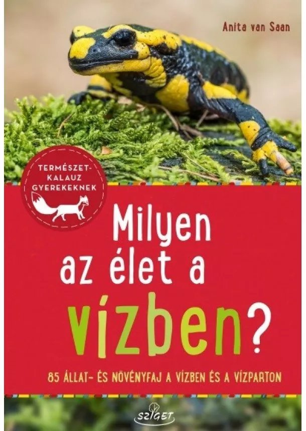 Anita van Saan - Milyen az élet a vízben? - 85 állat és növényfaj a folyókban, a tavakban és a vízparton - Természetkalauz gyerekeknek