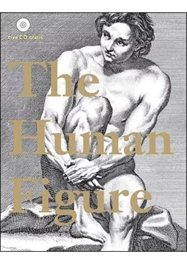 Human Figure