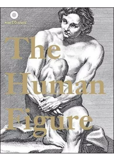 Human Figure