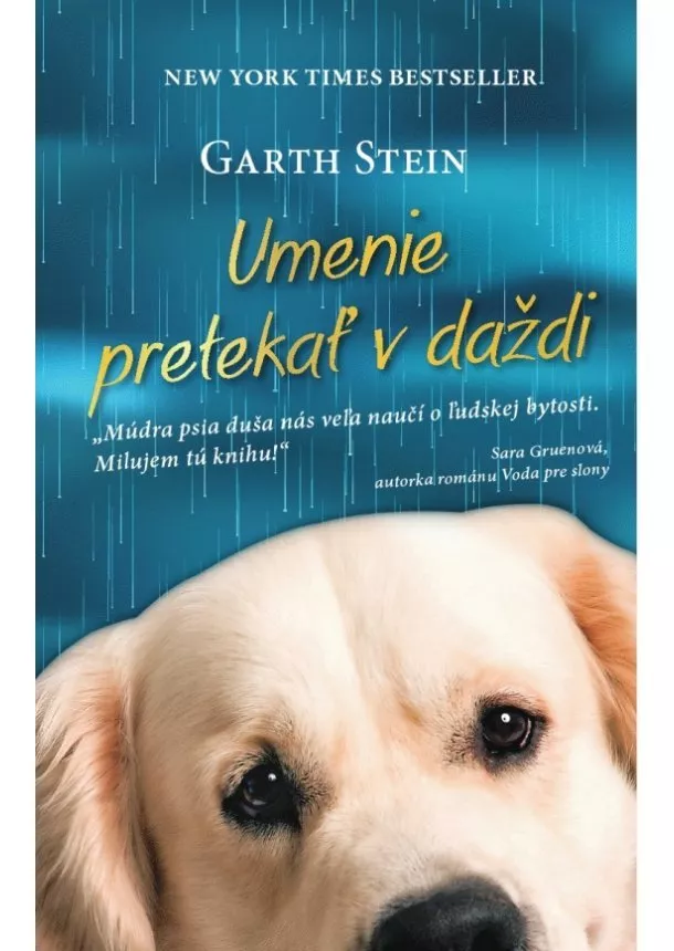 Garth Stein - Umenie pretekať v daždi