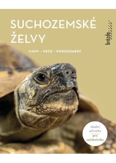 Suchozemské želvy - Chov, péče, porozumění