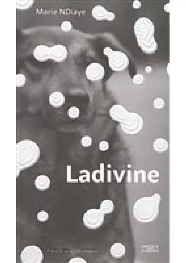 Marie NDiaye - Ladivine