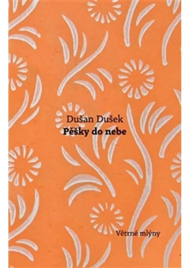 Dušan Dušek - Pěšky do nebe