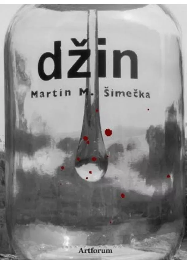 Martin M. Šimečka - Džin