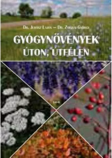 Gyógynövények úton, útfélen