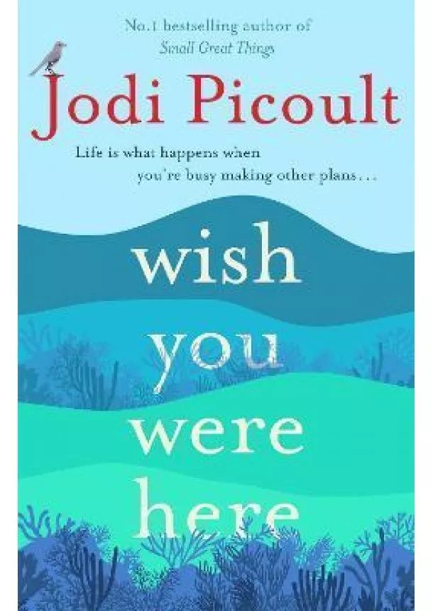 Jodi Picoult - Wish You Were Here