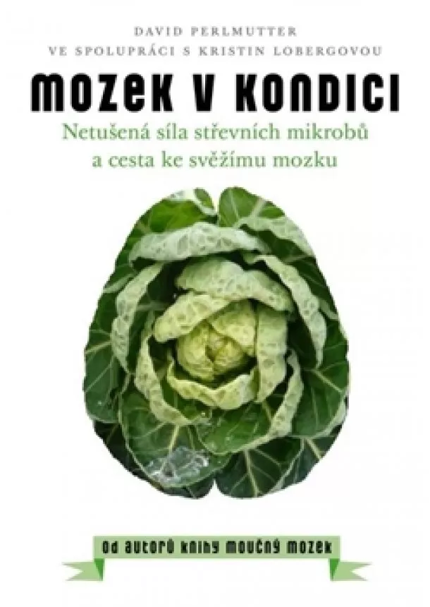 David Perlmutter - Mozek v kondici - Netušená síla střevních mikrobů a cesta ke svěžímu mozku