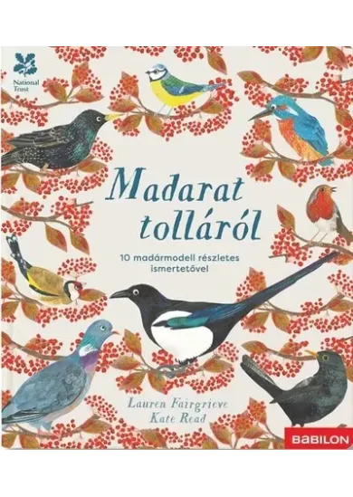 Madarat tolláról - 10 madármodell részletes ismertetővel - Kiapattintható oldalakkal