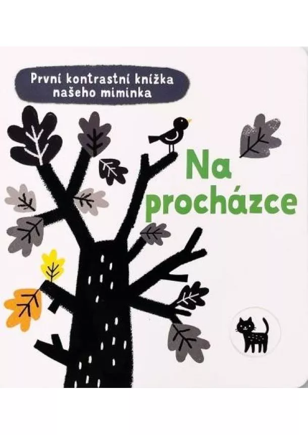 Mary Cartwright - Na procházce - První kontrastní knížka n