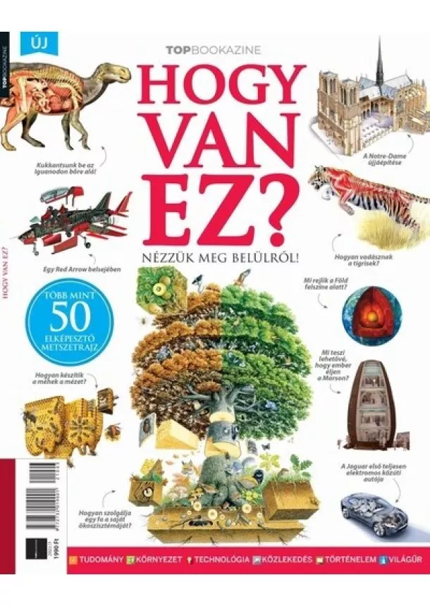 Brezvai Edit (szerk.) - Top Bookazine - Hogy van ez?