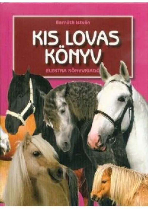 Bernáth István - Kis lovas könyv