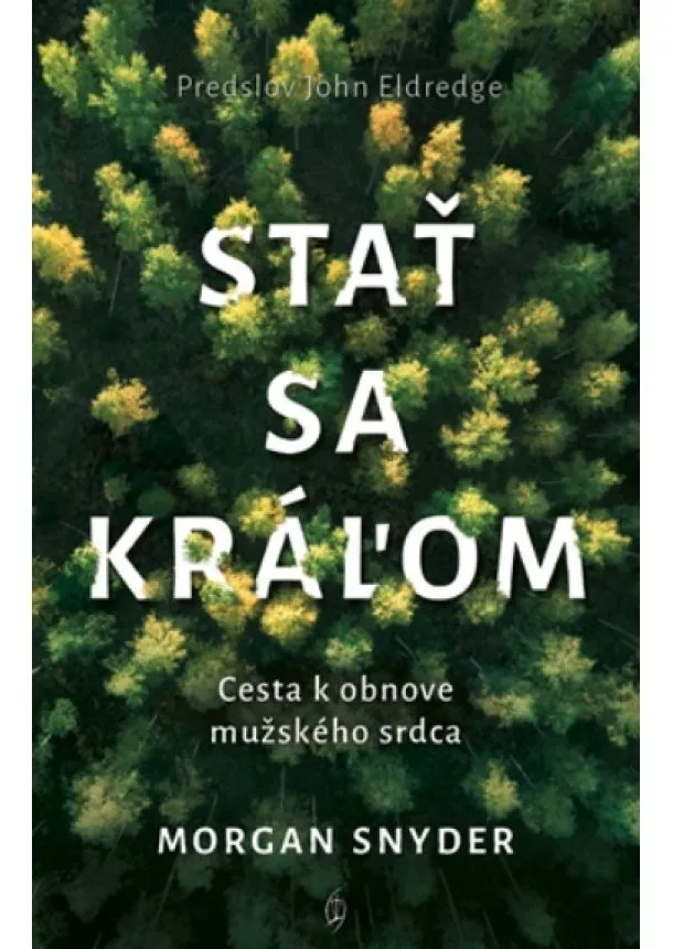 Morgan Snyder - Stať sa kráľom - Cesta k obnove mužského srdca