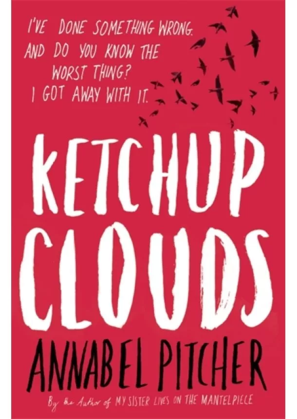 Annabel Pitcher - Ketchup Clouds