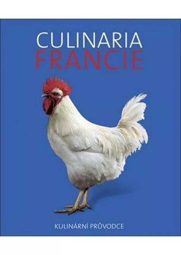 Dominé André - Culinaria Francie - Kulinární průvodce