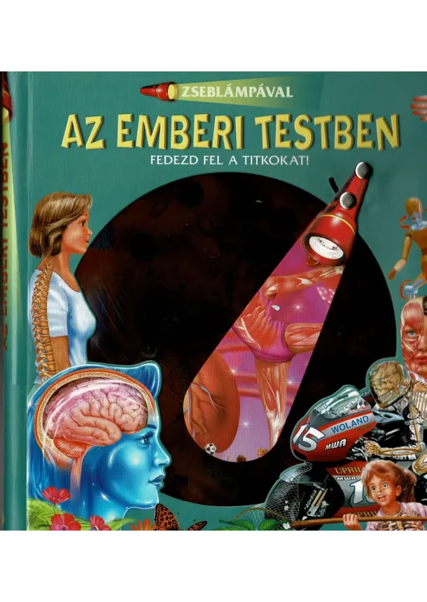 Zseblámpával - Az emberi testben