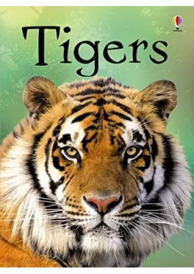 Beginners Tigers