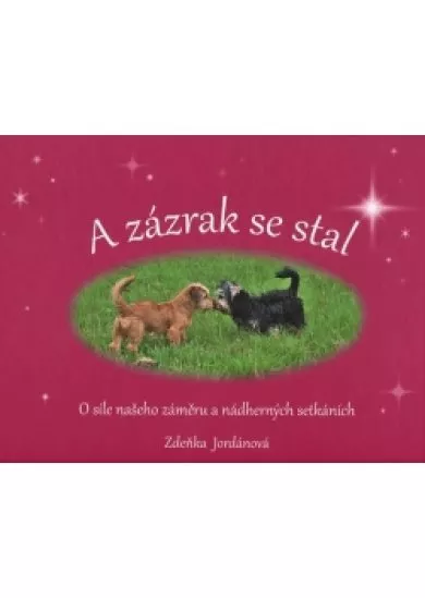 A zázrak se stal