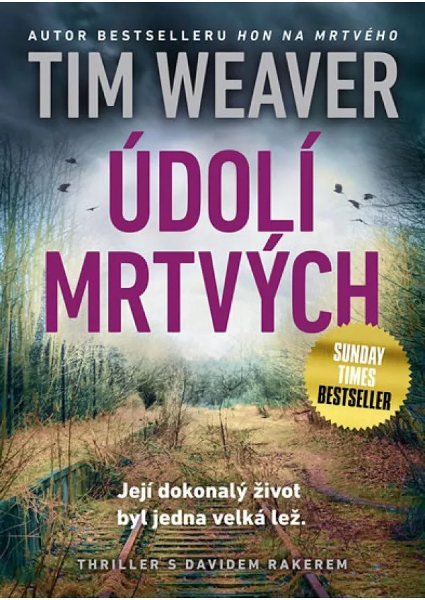 Tim Weaver - Údolí mrtvých