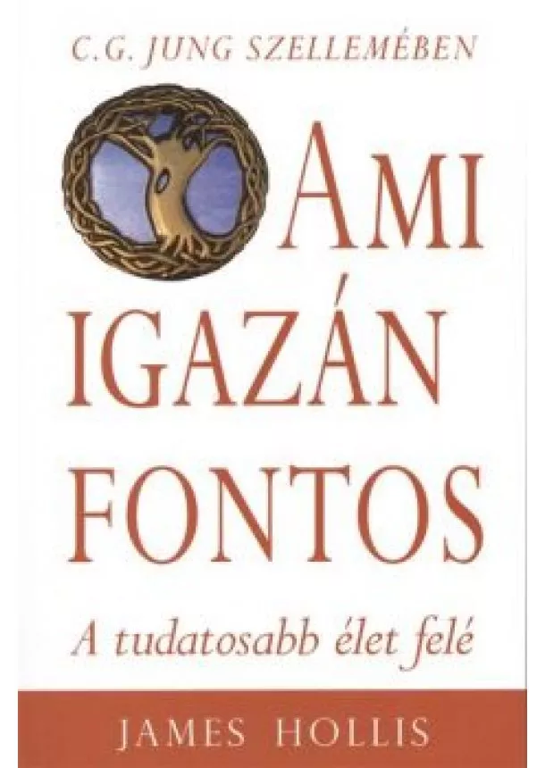 JAMES HOLLIS - AMI IGAZÁN FONTOS