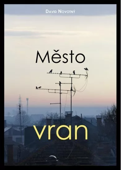 Město vran