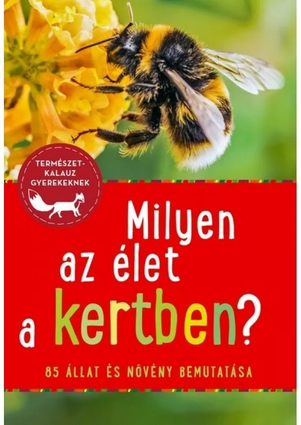 Barbel Oftring - Milyen az élet a kertben? - 85 állat és növény - Természetkalauz gyerekeknek