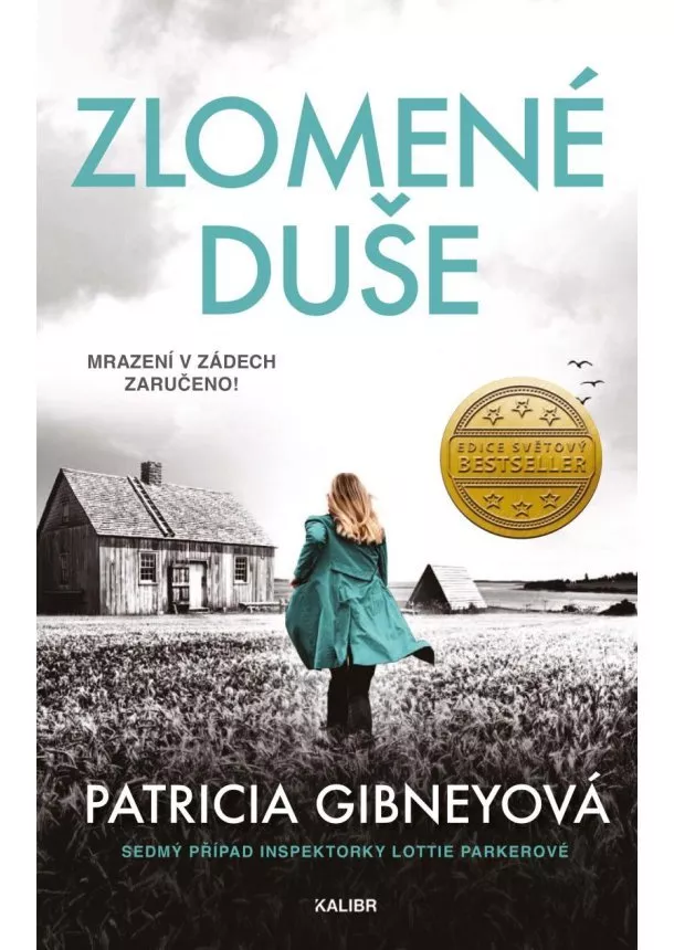 Patricia Gibneyová - Zlomené duše