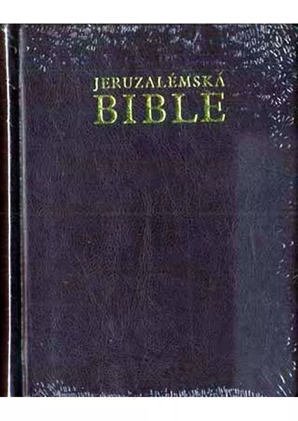 autor neuvedený - Jeruzalémská bible malá