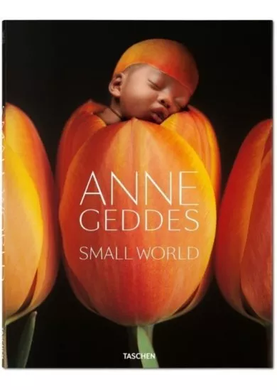 Geddes, Small World