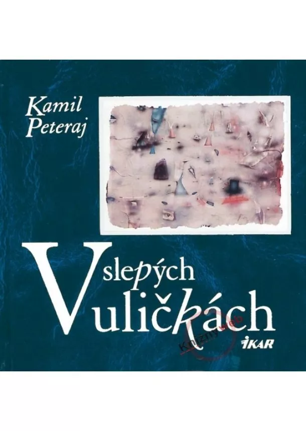 Kamil Peteraj - V slepých uličkách