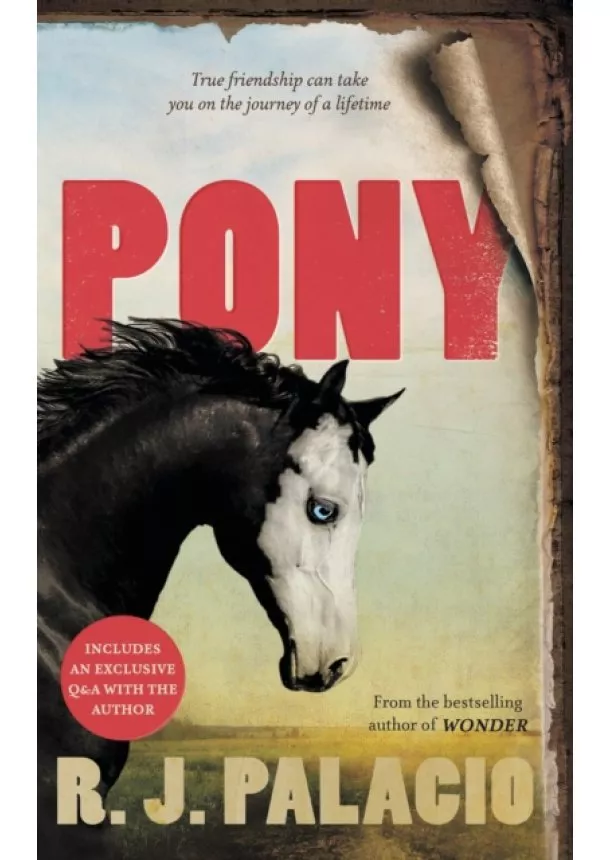 R. J. Palacio - Pony