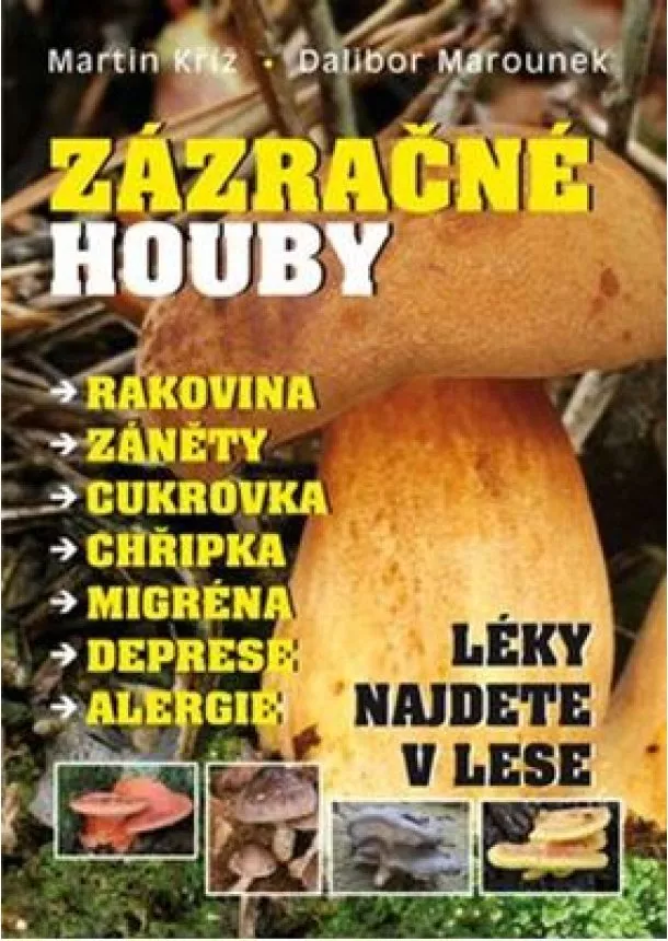 Dalibor Marounek, Martin Kříž - Zázračné houby - Léky najdete v lese