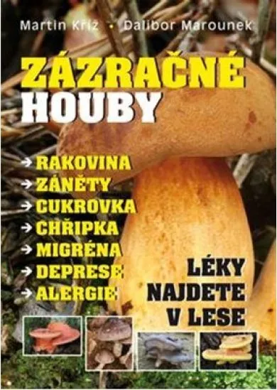 Zázračné houby - Léky najdete v lese