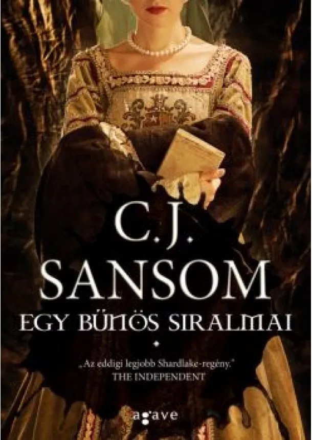 C. J. Sansom - Egy bűnös siralmai