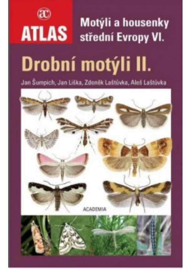  Aleš  Laštůvka, Zdeněk Laštůvka , Jan   Liška, Jan  Šumpich  - Drobní motýli II. - Motýli a housenky střední Evropy VI.