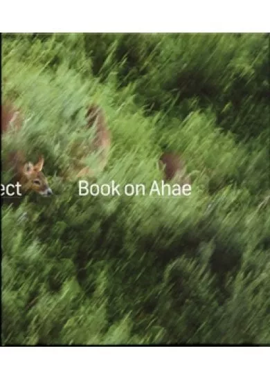 Book on Ahae - So Simple, so Beautiful, so Perfect