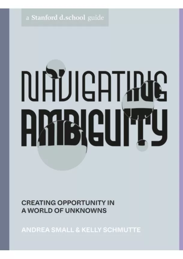 Andrea Small, Kelly Schmutte - Navigating Ambiguity