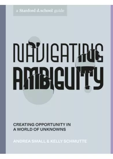 Navigating Ambiguity