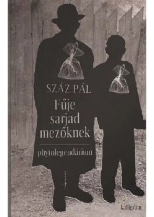 SZÁZ PÁL - Fűje sarjad mezőknek - Phytolegendárium + CD