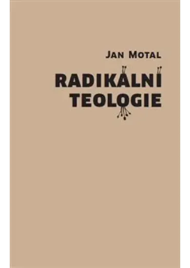 Radikální teologie