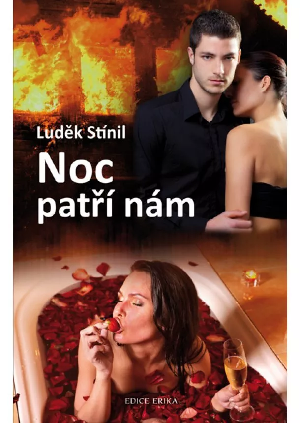 Luděk Stínil - Noc patří nám