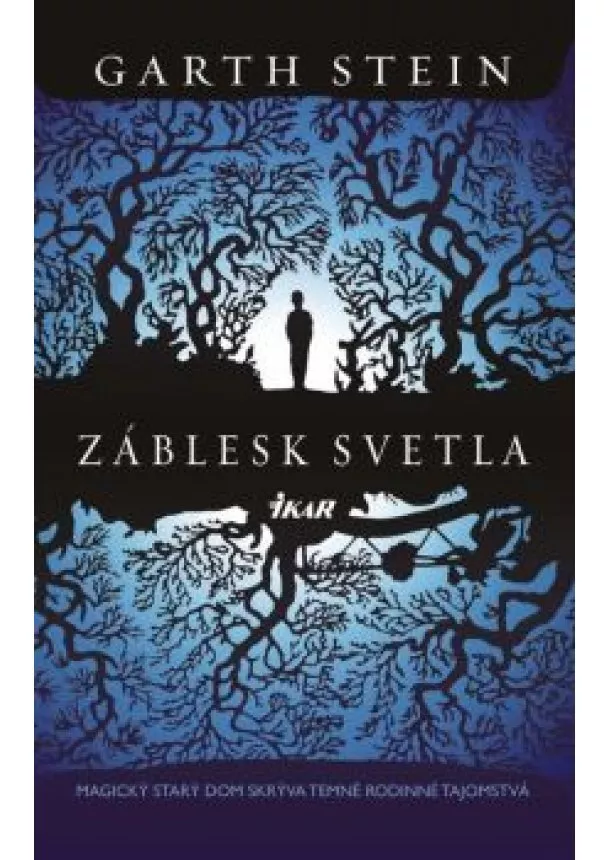 Garth Stein - Záblesk svetla