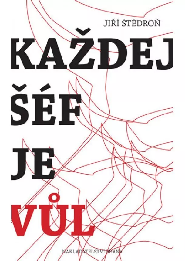 Jiří Štědroň - Každej šéf je vůl