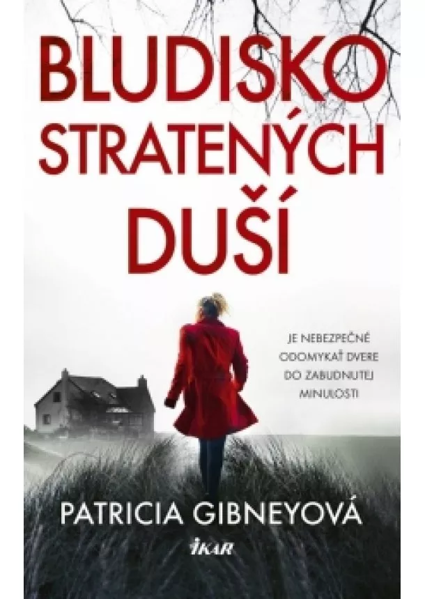 Patricia Gibneyová - Bludisko stratených duší