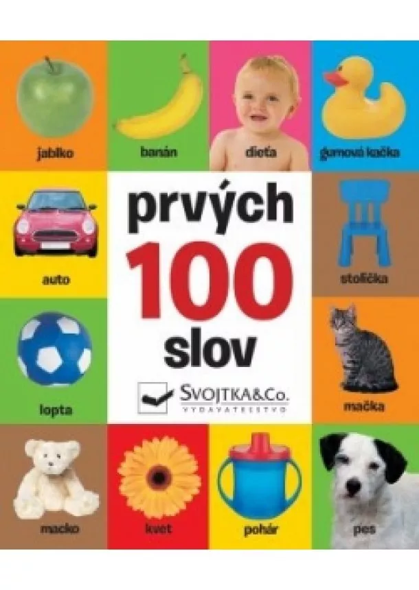 autor neuvedený - Prvých 100 slov