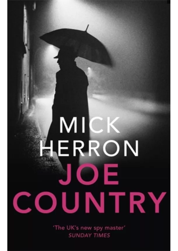 Mick Herron - Joe Country